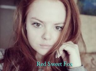 Red_Sweet_Fox