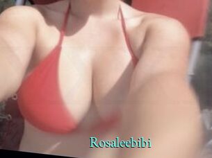 Rosaleebibi