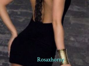 rosaxhorny xxx Fantasy Land
