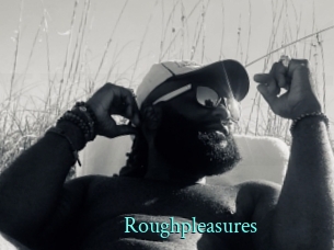 Roughpleasures