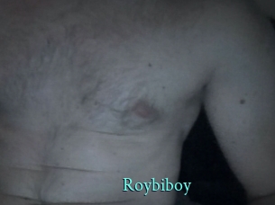 Roybiboy