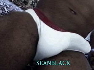 SEANBLACK