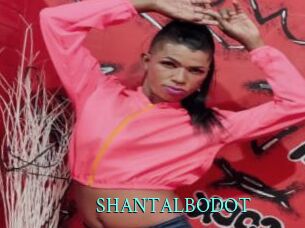 SHANTALBODOT