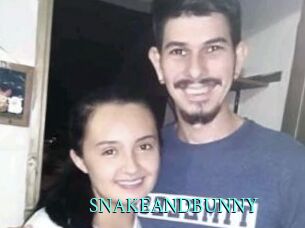 SNAKEANDBUNNY