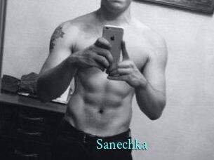 Sanechka xxx Fantasy Land