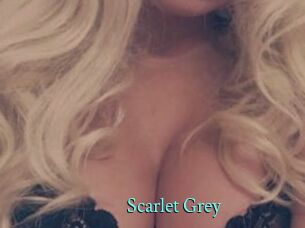 Scarlet_Grey