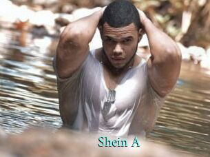 Shein_A