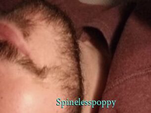 Spinelesspoppy