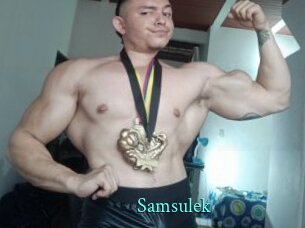 Samsulek