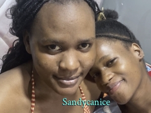 Sandycanice