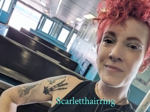 Scarletthairring