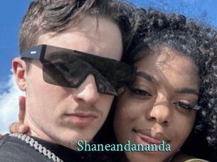 Shaneandananda