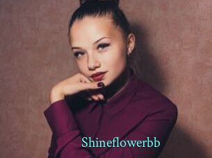 Shineflowerbb