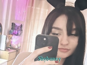 Shybunny