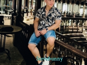 Stevebunny