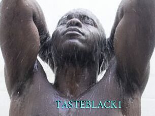TASTEBLACK1 xxx Fantasy Land