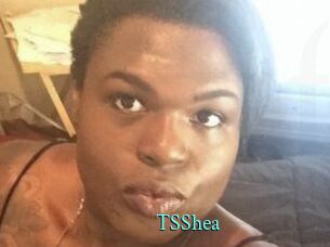 TS_Shea