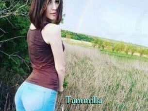 Tammilla_