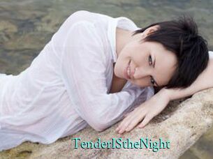 TenderIStheNight
