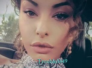Trouble3449
