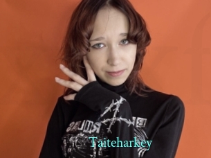 Taiteharkey