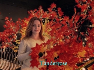 Tanderrose