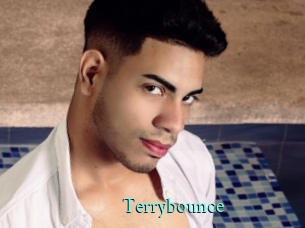 Terrybounce