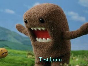 Testdomo