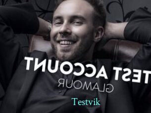 Testvik