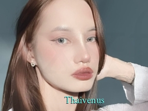 Thaivenus