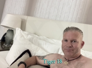 Tiger_18