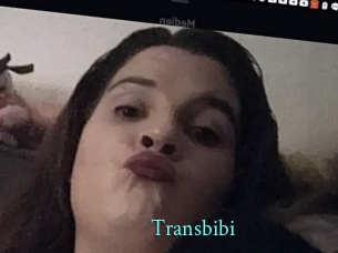 Transbibi