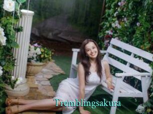 Tremblingsakura