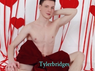 Tylerbridges