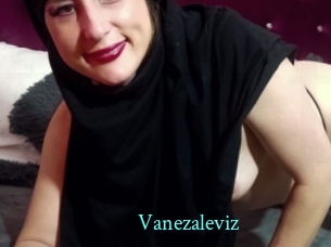 Vanezaleviz