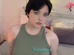 Velvdone