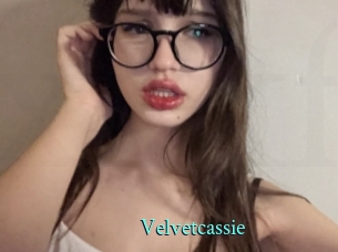 Velvetcassie