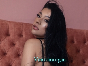 Venusmorgan