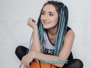 Vulgarmollyx