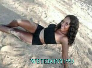WETEBONY1993 xxx Fantasy Land