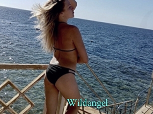 Wildangel