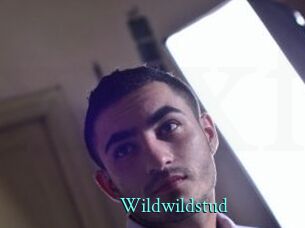 wildwildstud xxx Fantasy Land