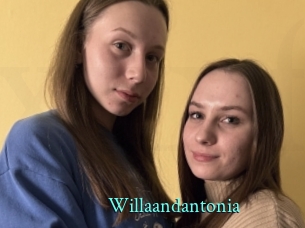 Willaandantonia