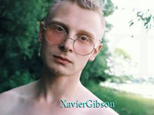 XavierGibson xxx Fantasy Land