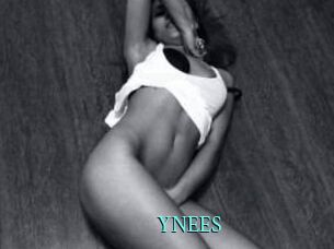 YNEES xxx Fantasy Land