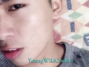 YoungWildCock4u xxx Fantasy Land