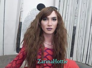 ZarinaHottie xxx Fantasy Land